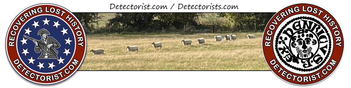 Detectorist